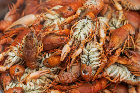 The process of cooking crayfish, a traditional snack for beer. Background, selective focus