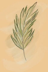 Hand drawn watercolour tropical palm leaf on beige background