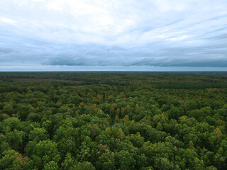 Fototapeta na wymiar Aerial drone view of dense forest and stormy clouds in the sky over rural Virginia countryside