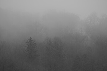 Fototapeta na wymiar Abstract landscape in the mountains, with fog in the forest, in black and white.