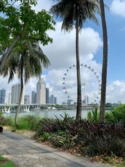 Singapur w pełnym słońcu © Krystian