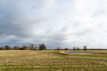 Fototapeta premium Landschaft der Elbtalaue im Wendland