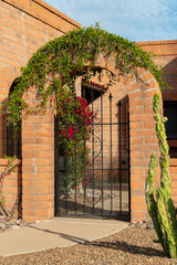 Cement brick archway with green vine plant on archway near key stone with front yard cactus and sidewalk path