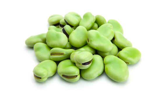 A heap of fresh harvested Vicia faba, also known as broad bean, fava bean, or faba bean isolated on white

