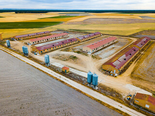 Aerial view of livestock farm for growing pigs in fields of central Spain at summer day © JackF