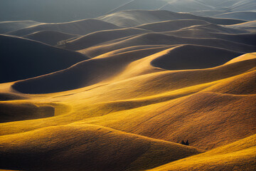 Vertical shot of untouched desert fields with mystic design Generative AI