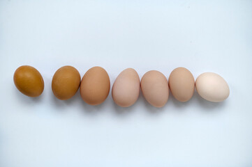 Chicken eggs on white background. top view. Easter concept