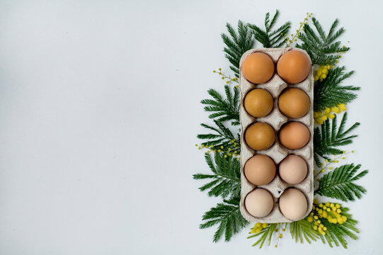 natural chicken eggs in a paper egg holder decorated with a green branches on a white background. Top view