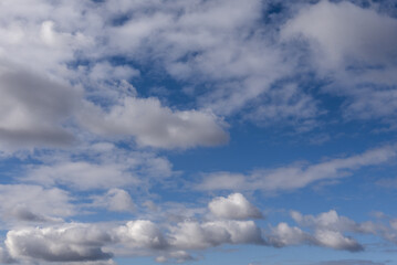 Fototapeta premium blue summer sky with white clouds blown by a strong wind forming beautiful patterns some fluffy low and others higher and open