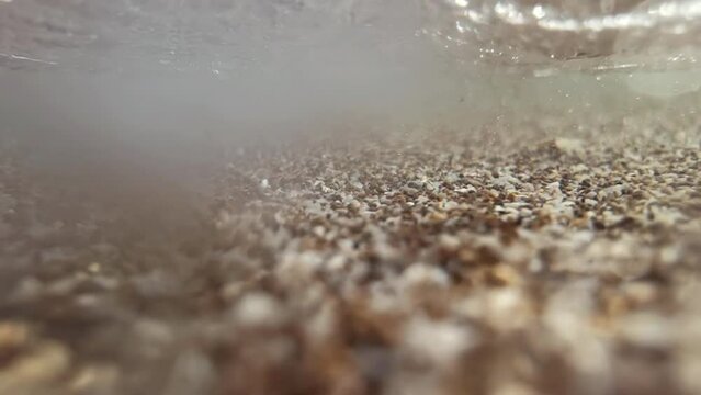 Underwater shot of tiny shells and sediment on the sea bed