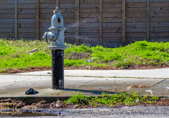 Fire Hydrant Spewing Water from Several Leaks