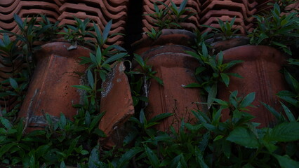 house tiles piled on the ground with wild plants growing around it