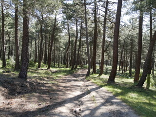 Paisajes