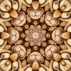 Brown white mandala from large number of tiny seashells. Mandala made from natural objects. Natural ornament. Symmetry. Fractals and kaleidoscope. abstract kaleidoscopic arabesque. geometrical pattern