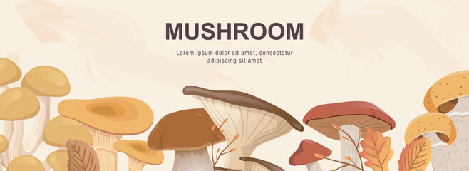 Mushrooms horizontal web banner. Cep, boletus, chanterelle, honey agaric, champignon, russule and other autumn forest harvest. Vector illustration for header website, cover templates in modern design © alexdndz