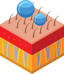 Skin collagen care icon isometric vector. Beauty cream. Cosmetic drop