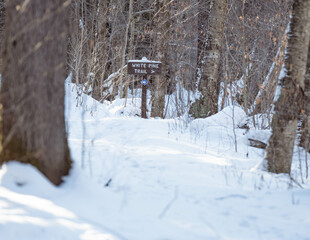 Fototapeta premium Winter hiking trail, fresh snow in the woods