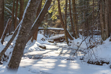 Fototapeta premium Fresh snow in the woods, valley lake frozen, natural cold season background