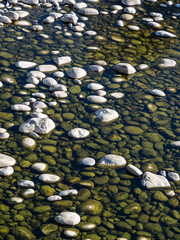 sunny day by the creek with a low level of water filled with pebbles - 568611957