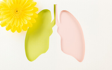 World TB Day. Overhead lungs paper symbol and yellow flowers on white background, lung cancer awareness, copy space concept of world tuberculosis day, banner background, no tobacco