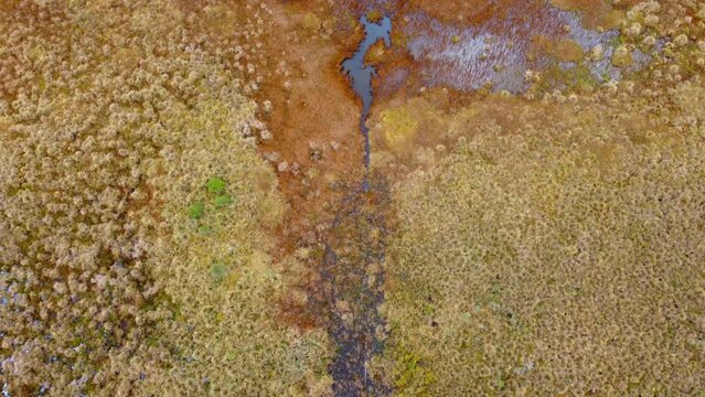 Aerial top down view of a lagoon in Ecuador - Mojanda drone footage, beauty of nature in the Andes during a hike