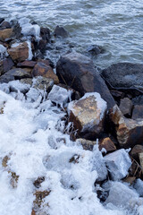 草が凍るほど冷え込んだ朝の湖山池の風景 鳥取県 湖山池
