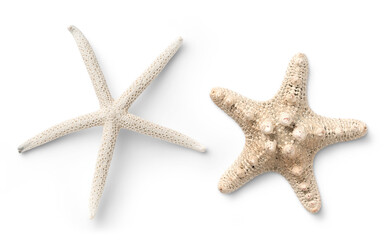 two different types of white starfish isolated over a transparent background, ocean / sea / beach / summer vacation design element, flat lay / top view with subtle shadows - 568619750