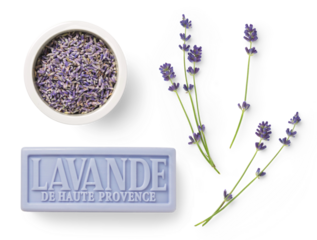 lavender design elements isolated over a transparent background, French soap bar (from the Provence), fresh flowers and dried buds in a white bowl, fragrance / essential oils / cosmetics / perfumery a