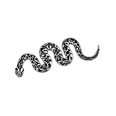 Black and white sketch of a snake with transparent background