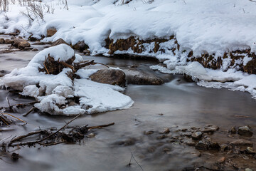 stream in the forest