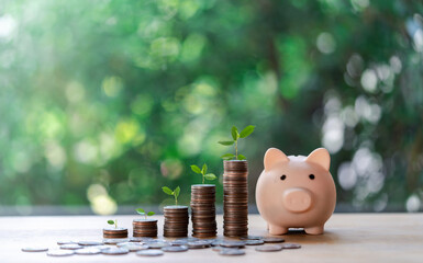 Business finance and saving money investment, Money coin stack growing graph with pink piggy bank against nature background. plant growing up on coin. Savings and investment, coin step, saving money