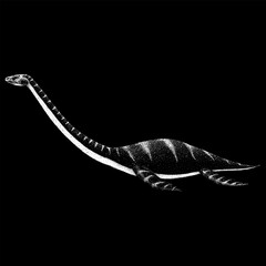 Thalassomedon hand drawing vector isolated on black background.