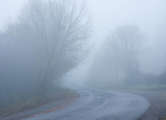 Fototapeta na wymiar road in the fog