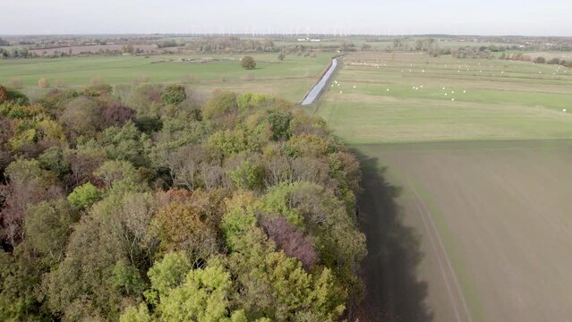 Areal drone footage of country road and trees with autumn colors taken at place called Uetz in Brandenburg, Germany. Peaceful and tranquil atmosphere, cinematic flavour.