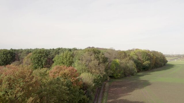 Areal drone footage of country road and trees with autumn colors taken at place called Uetz in Brandenburg, Germany. Peaceful and tranquil atmosphere.