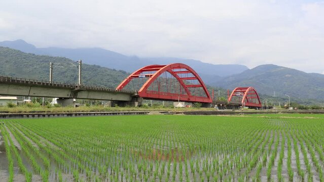 A Chu-Kuang Express train traveling through beautiful Kecheng Iron Bridge with newly transplanted rice shoots in the irrigated green paddy fields and mountains in background, in Yuli, Hualien, Taiwan