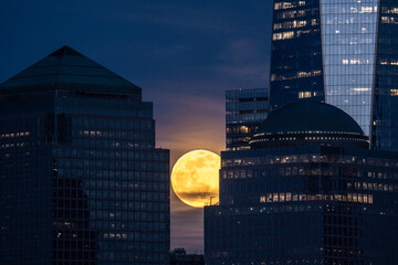 Full moon is rising behind skyscrapers in New York. Majestic view during full moon in city.
