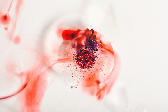 Blood cell smear under microscope for vaccine research, Bacterias and micro organisms colonies in agar petri dish, Virus and germ spread in to cell, Scientific health background.