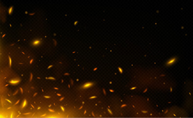 Fototapeta na wymiar Realistic fire sparks, orange flame light and smoke overlay effect on dark transparent background. Vector illustration of burning hot particles, coal ash flying over bonfire or grill. Design element