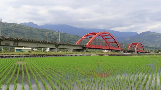 A Chu-Kuang Express train dashing through beautiful Kecheng Iron Bridge over newly transplanted rice shoots in the flooded green paddy fields, in Yuli Township, Hualien County, Taiwan 