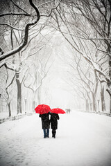 Couple holding red umbrella walking in the park in snow