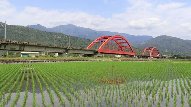 A Taroko Express train dashes thru beautiful Kecheng Iron Bridge over the flooded green paddy fields of newly transplanted rice shoots with mountains in background in Yuli Township, Hualien, Taiwan