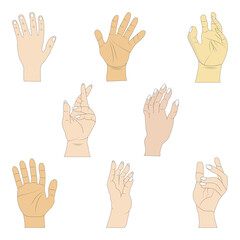 Obraz premium Hand, Hand poses illustration, Hand set vector, Different gesture hand flat sketch.