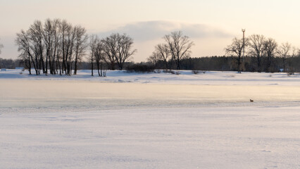 Winter sunset on the big river, hummocks in the rays of the sun.