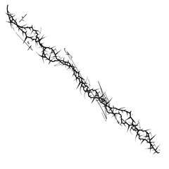 Sketch Illustration Element