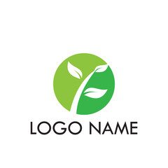 Leaf illustration logo