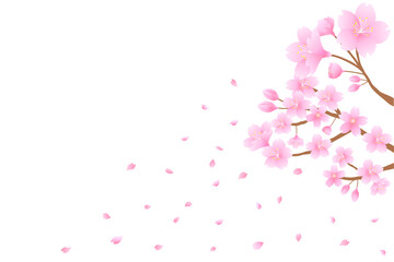 桜と舞い散る花びら