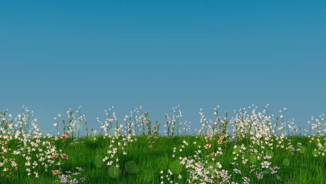 Summer Field with Long Grass, Wild Flowers and Clear Blue Sky. Natural Wallpaper with copy-space.
