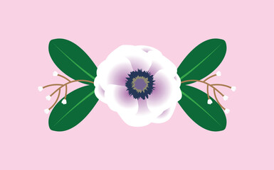 flower isolated on pink bacground