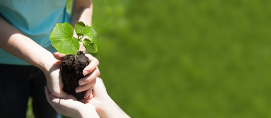 Concept of Earth day, organic gardening, ecology. spend free time do favourite hobby. hands mom and...